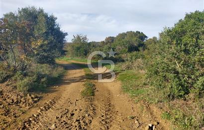 Yola Cepheli Küçükanafartalarda Ada 350 Parsel 69 | Tarla