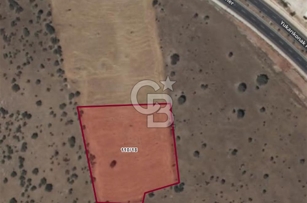 Mardin Mazıdağı Yukarıkonak'ta 7,445 m2 Satılık TARLA