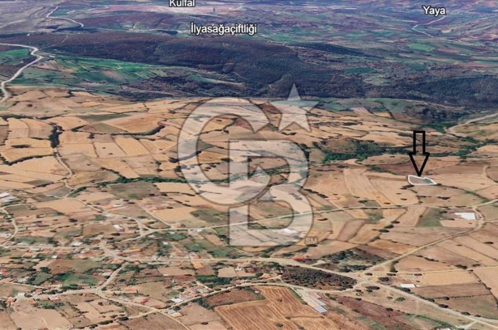 Çanakkale / Çan / Kocayayla Köyü 3.100 m² – Köy Yerleşimine Yakın – Yatırımlık Tarla