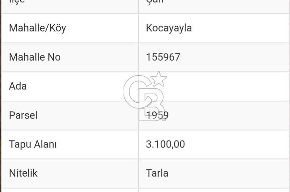 Çanakkale / Çan / Kocayayla Köyü 3.100 m² – Köy Yerleşimine Yakın – Yatırımlık Tarla