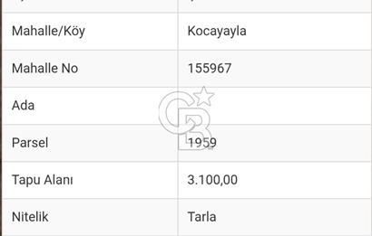 Çanakkale / Çan / Kocayayla Köyü 3.100 m² – Köy Yerleşimine Yakın – Yatırımlık Tarla