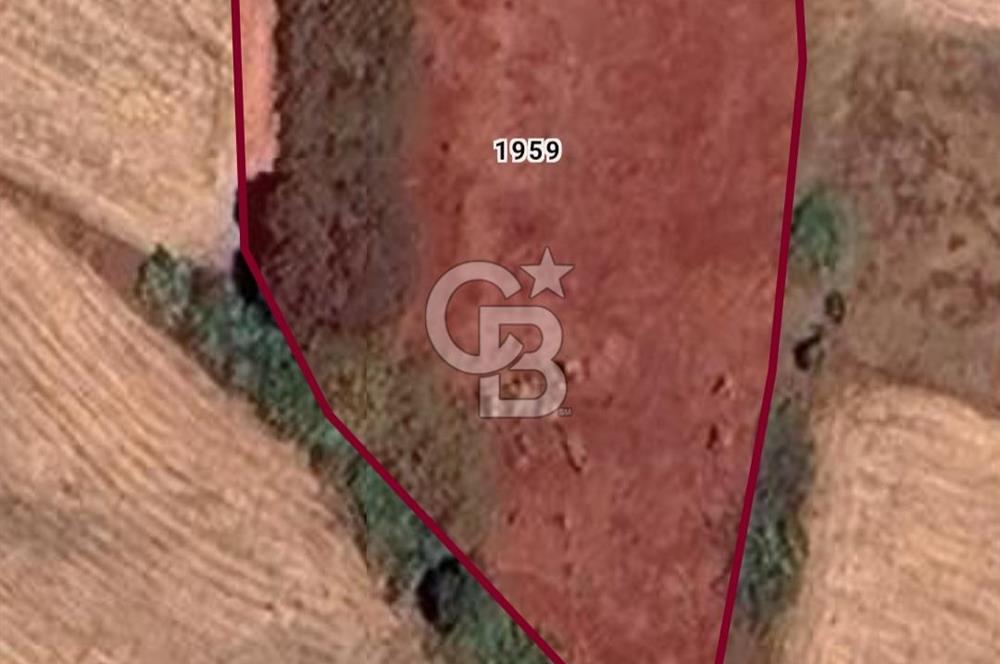 Çanakkale / Çan / Kocayayla Köyü 3.100 m² – Köy Yerleşimine Yakın – Yatırımlık Tarla