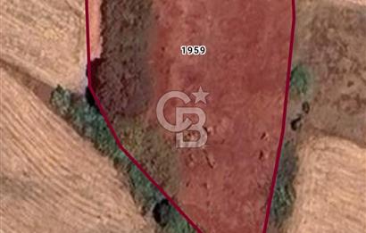 Çanakkale / Çan / Kocayayla Köyü 3.100 m² – Köy Yerleşimine Yakın – Yatırımlık Tarla