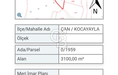 Çanakkale / Çan / Kocayayla Köyü 3.100 m² – Köy Yerleşimine Yakın – Yatırımlık Tarla