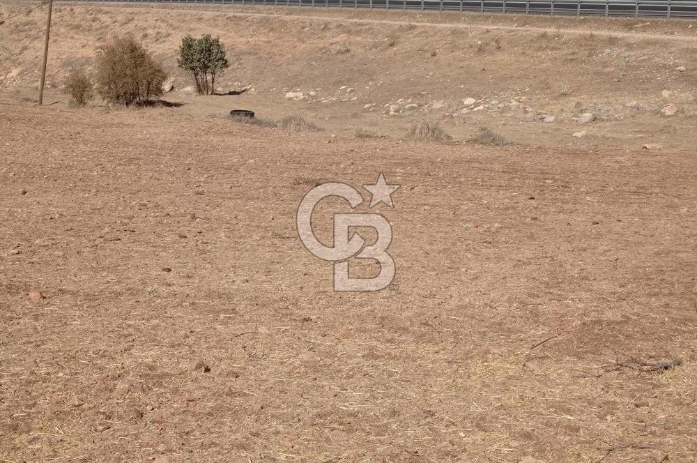 Mardin Mazıdağı Yukarıkonak'ta 10.657m2 Satılık TARLA