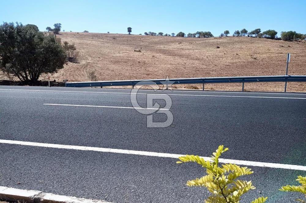 Mardin Mazıdağı Yukarıkonak'ta 10.657m2 Satılık TARLA