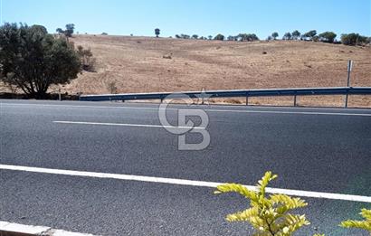 Mardin Mazıdağı Yukarıkonak'ta 10.657m2 Satılık TARLA