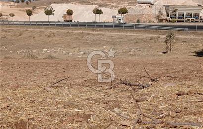 Mardin Mazıdağı Yukarıkonak'ta 7,445 m2 Satılık TARLA