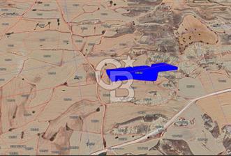 Girne Kozan'da Satılık Arazi !!! - 1 - 321282