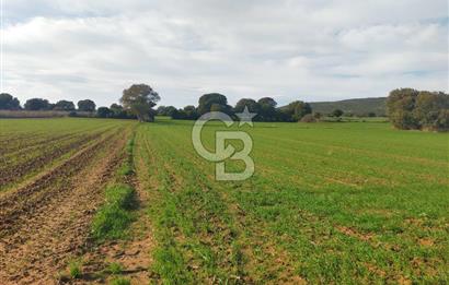 Yola Cepheli Küçükanafartalarda Ada 350 Parsel 69 | Tarla