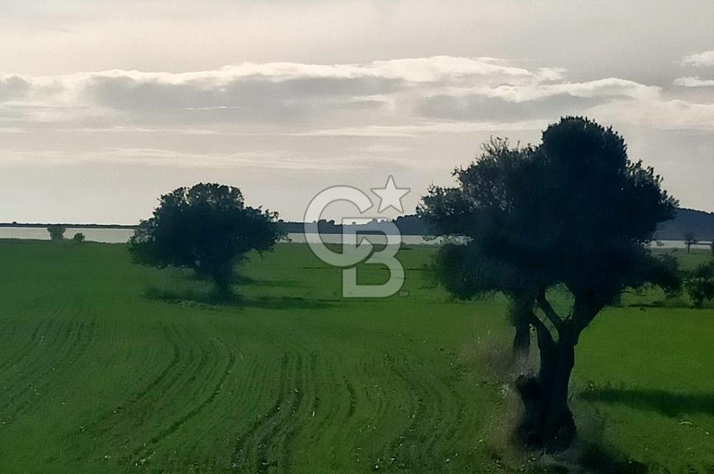 Göl Manzaralı | Küçükanafartalar Ada 350 Parsel 303 | Tarla