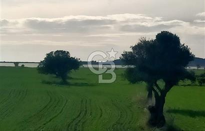 Göl Manzaralı | Küçükanafartalar Ada 350 Parsel 303 | Tarla