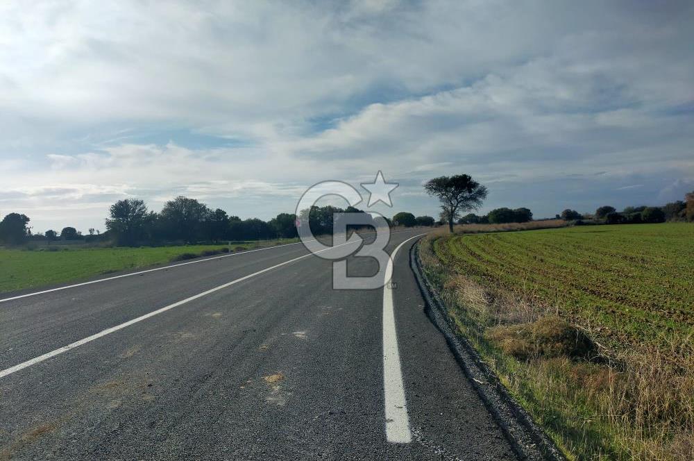 Yola Cepheli Küçükanafartalarda Ada 350 Parsel 69 | Tarla