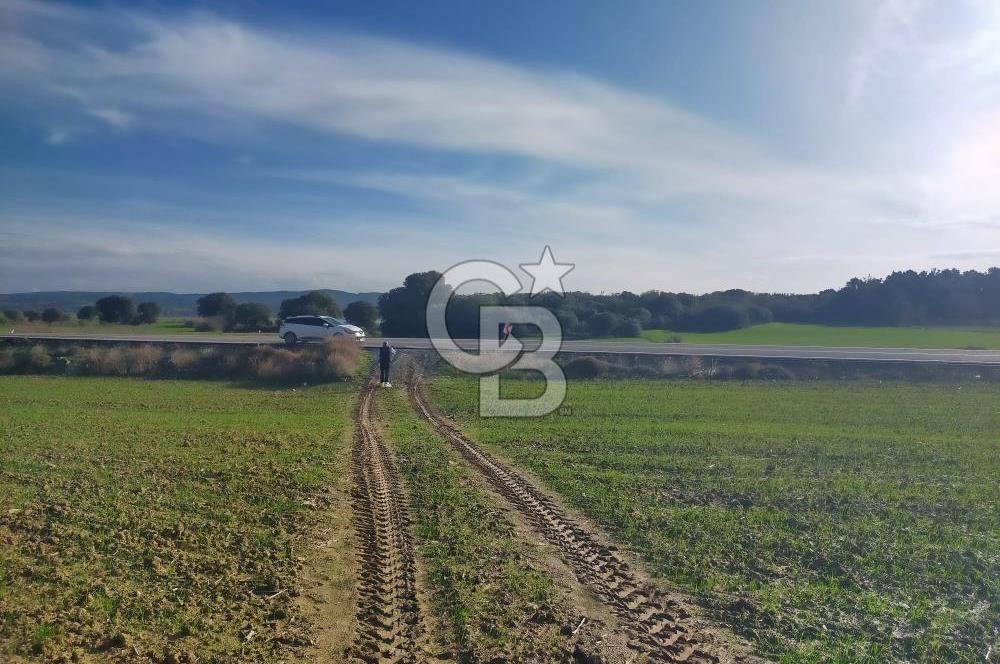 Yola Cepheli Küçükanafartalarda Ada 350 Parsel 69 | Tarla