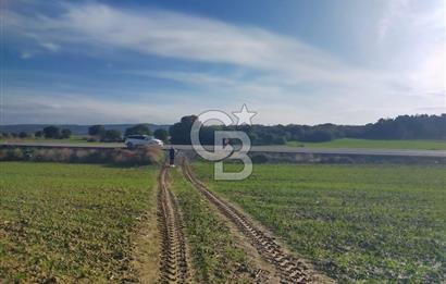 Yola Cepheli Küçükanafartalarda Ada 350 Parsel 69 | Tarla