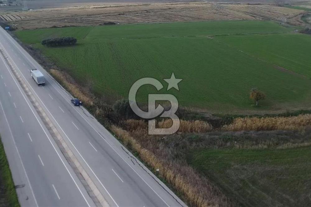 Biga Güvemalan Satılık Tarla
