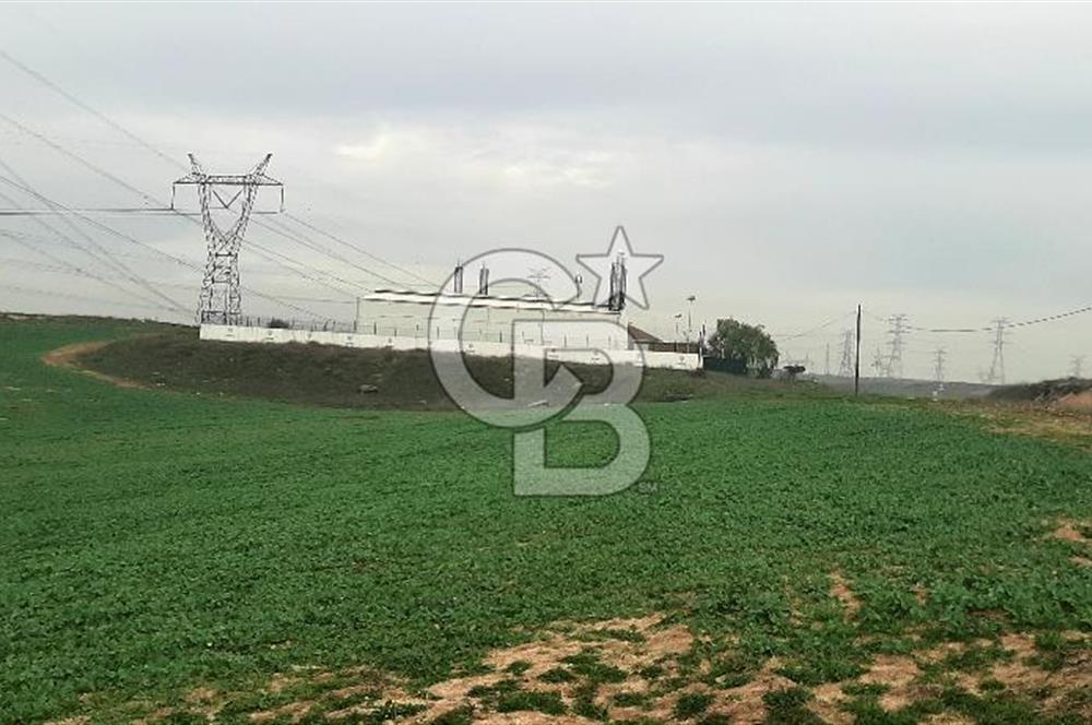 Tuzla Tepeörende Satılık Hisseli Arsa 