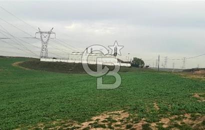 Tuzla Tepeörende Satılık Hisseli Arsa 