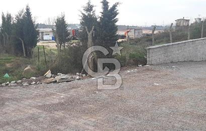 Tuzla Tepeörende Satılık Hisseli Arsa 