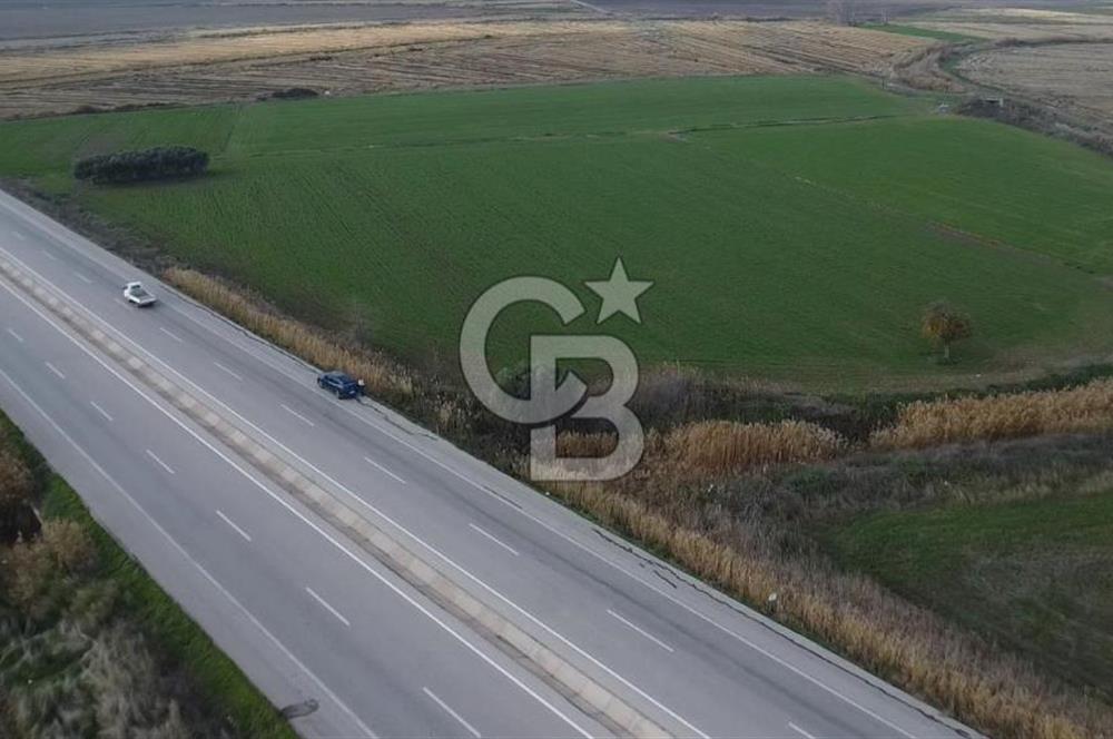 Biga Güvemalan Satılık Tarla