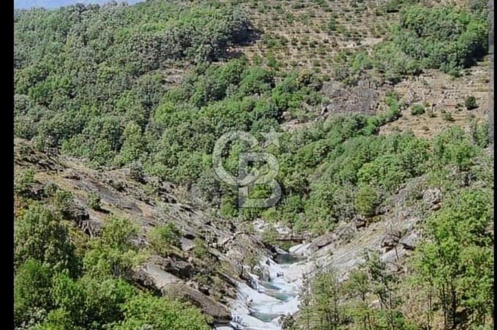 ŞİLE DEĞİRMENÇAYIR'DA 571 M2 SATILIK ARSA