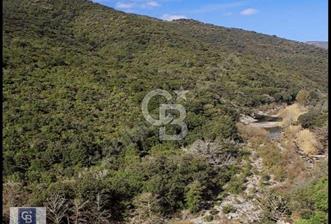 ŞİLE DEĞİRMENÇAYIR'DA 531 M2 SATILIK ARSA - 9 - 321361