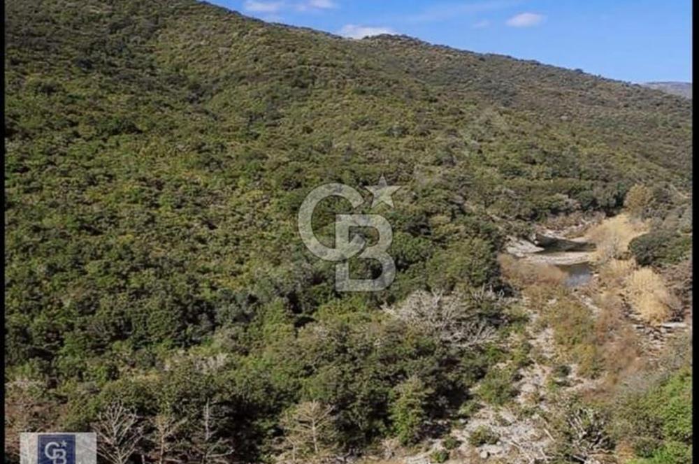 ŞİLE DEĞİRMENÇAYIR'DA 571 M2 SATILIK ARSA