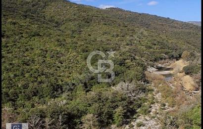 ŞİLE DEĞİRMENÇAYIR'DA 571 M2 SATILIK ARSA