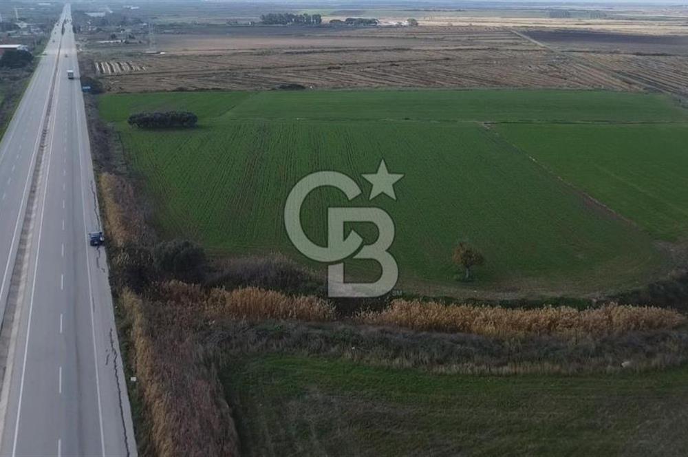 Biga Güvemalan Satılık Tarla
