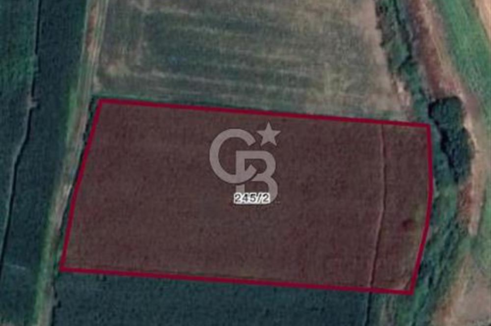 Biga Güvemalan Satılık Tarla