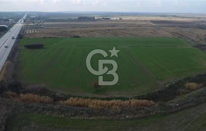 Biga Güvemalan Satılık Tarla