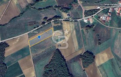 YATIRIMLIK FIRSAT...