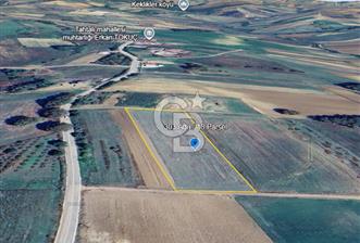 YATIRIMLIK FIRSAT... - 2 - 321323