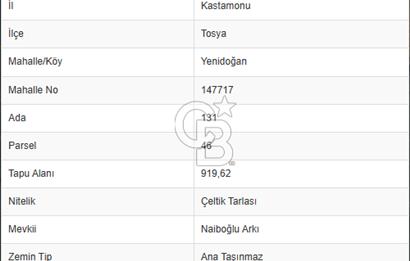 FIRSAT !!!!! TOSYA YENİDOĞAN'DA SATILIK ÇELTİK TARLASI