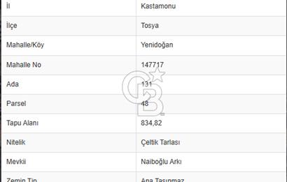 FIRSAT !!!!! TOSYA YENİDOĞAN'DA SATILIK ÇELTİK TARLASI