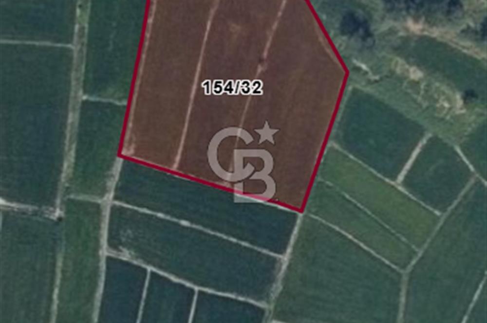 FIRSAT !!!!! TOSYA YENİDOĞAN'DA SATILIK ÇELTİK TARLASI