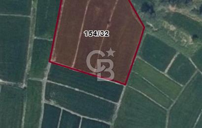 FIRSAT !!!!! TOSYA YENİDOĞAN'DA SATILIK ÇELTİK TARLASI