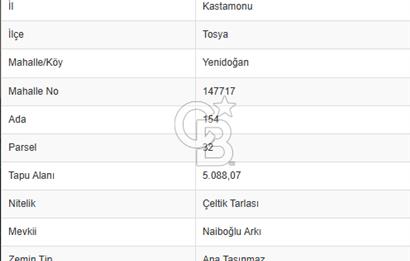 FIRSAT !!!!! TOSYA YENİDOĞAN'DA SATILIK ÇELTİK TARLASI