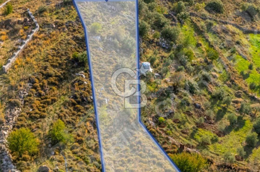 CB MARİNA' DAN BOZBURUN'DA 598,36 M2 YATIRIMLIK TARLA