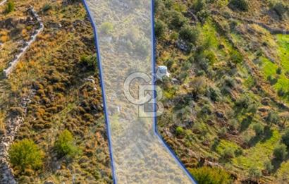 CB MARİNA' DAN BOZBURUN'DA 598,36 M2 YATIRIMLIK TARLA