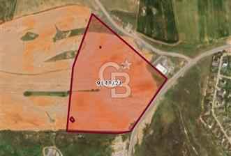 Tuzla Tepeörende Satılık Hisseli Arsa  - 3 - 321354