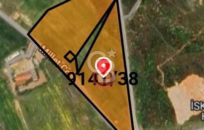 Tuzla Tepeörende Satılık Hisseli Arsa