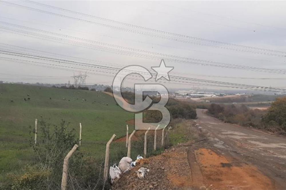 Tuzla Tepeörende Satılık Hisseli Arsa