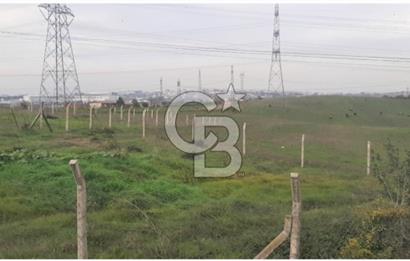 Tuzla Tepeörende Satılık Hisseli Arsa