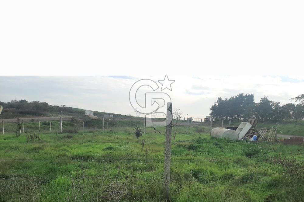 Tuzla Tepeörende Satılık Hisseli Arsa