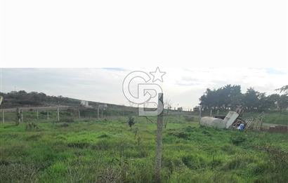 Tuzla Tepeörende Satılık Hisseli Arsa