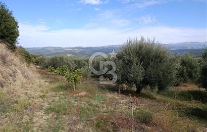 Aydın Karacasu Dereköy' de Satılık Tarla CB PH