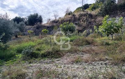 Aydın Karacasu Dereköy' de Satılık Tarla CB PH