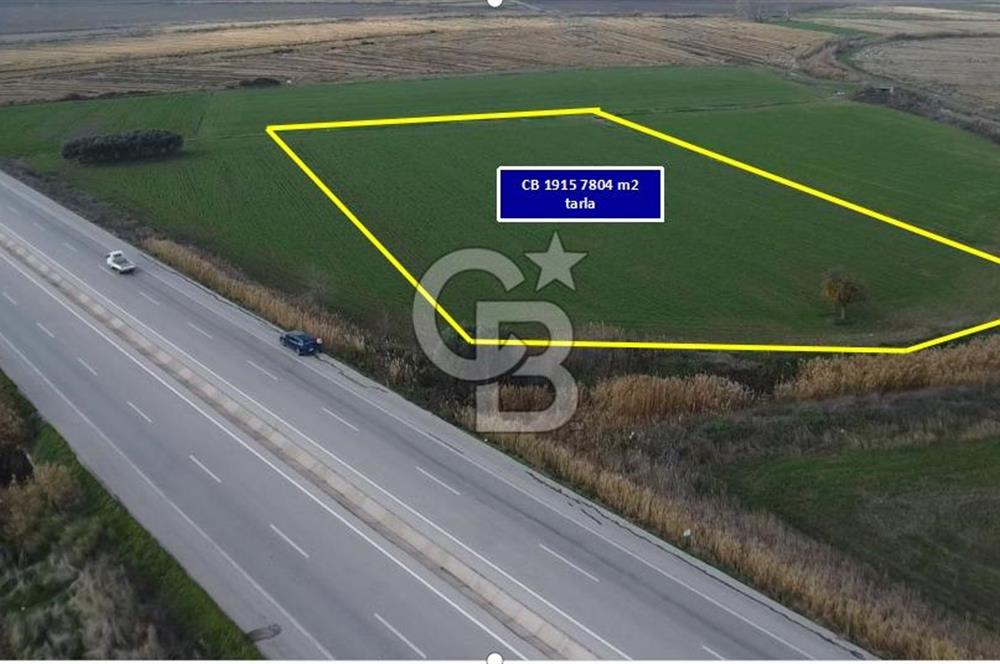 Biga Güvemalan Satılık Tarla