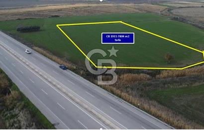 Biga Güvemalan Satılık Tarla